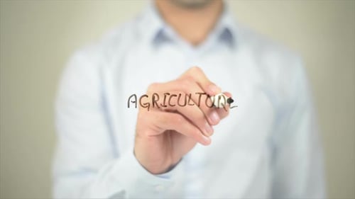 Agricultura, hombre escribiendo en pantalla transparente