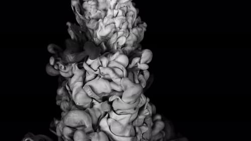 The Captivating Fusion of White and Black Paint is Showcased in Slow Motion Within Water Against a