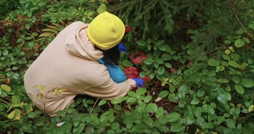 Woman Foraging for Berries in Lush Green Forest Wearing Yellow Beanie Focus on Sustainable Living