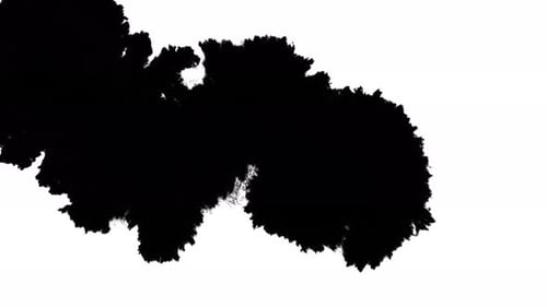 Fluid Ink Splatter Transition Overlay