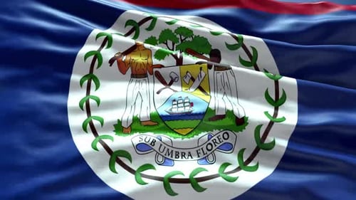 Waving Flag of Belize Realistic Fabric Loop