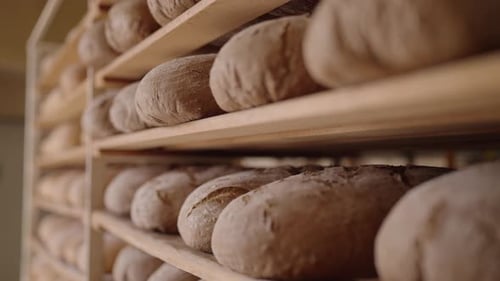 Freshly baked bread loaves on wooden shelves in bakery, artisanal bread production.