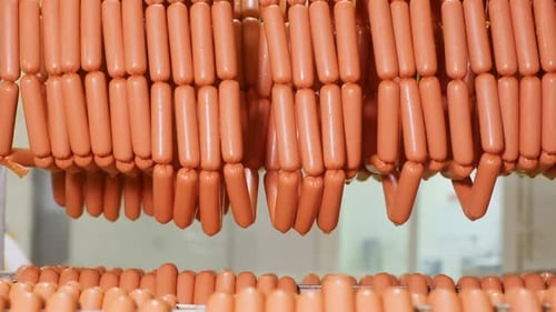 Hanging Sausages on Metal Racks in Rows on Meat Plant and Worker on Background