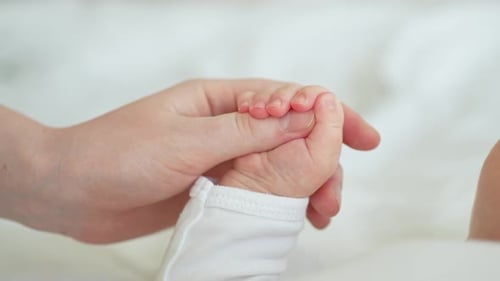 Infant's Hand Holding Adult's Finger