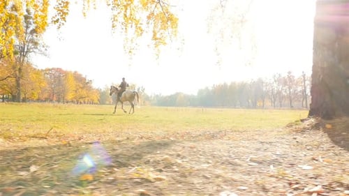 Horse Riding at Sunset