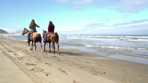 Women enjoying horseback riding on a beautiful beach in summer