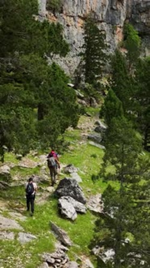 Vertical Video Mountain Escapade Travelers Explore the Enchanting Green Woods