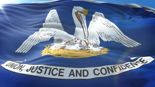 Waving Louisiana State Flag Animation