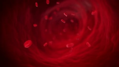 Red blood cells flowing through human artery in slow motion