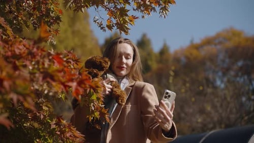 Young woman with cute Toy Poodle dog taking selfie with camera phone in autumn park