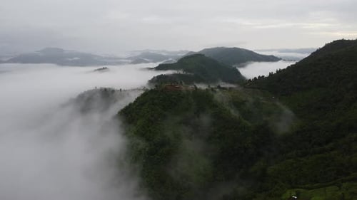 Aerial view of the trees in the valley with fog in the morning.