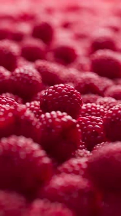 Vertical Close-up of Fresh Red Raspberries Background