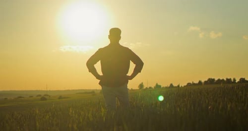 Back View of the Young Caucasian Good Looking Man Farmer Looking at the Field and Analyzing Harvest