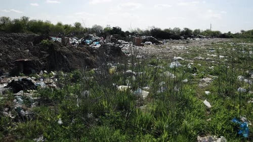 Garbage Pile Pollution Impact Pollution Reform