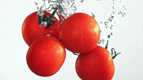 Tomatoes Falling Under Water on a White Background Filmed on a Highspeed Camera at 1000 Fps