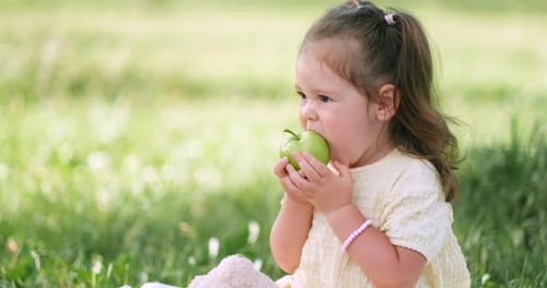Kind Kleines kaukasisches Mädchen isst Apfel im Park im Sommer beim Mittagessen Picknick Kind sitzt auf Gras