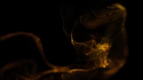 Abstract Fluid Motion Golden Glowing Background