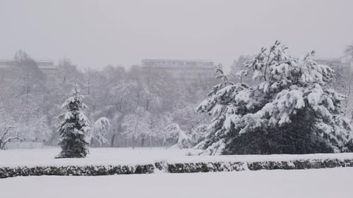 Beautiful Landscape Shot On A Snowy Day In Public Park. Quiet Scene With No People
