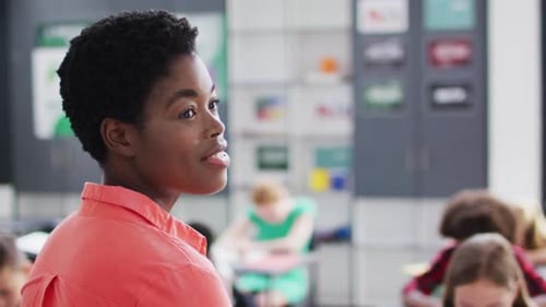 Portrait of diverse female teacher and schoolchildren at desks in school classroom