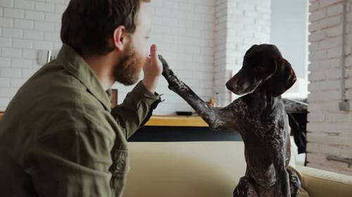 a Man is Sitting on the Couch and Training a Dog That He Took From a Shelter