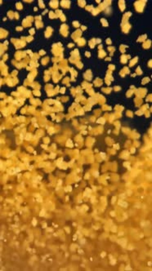Wheat Groats Fall and Fly Filmed on a Highspeed Camera at 1000 Fps