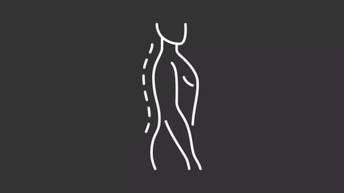 Animated Human Spinal Cord Line Art for Medical Content