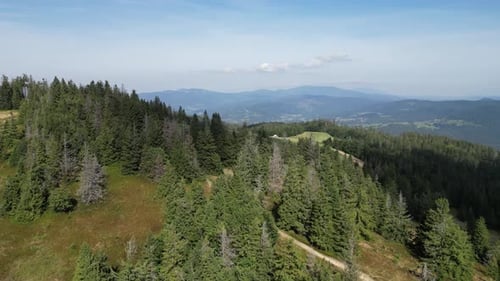 Mountain landscape during a summer day with mountains peaks, forest, lush greenery and trees