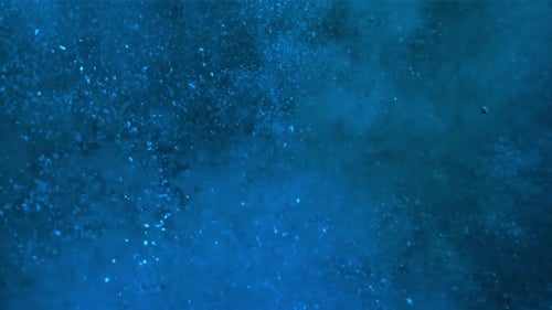 Superzeitlupenexplosion von Farbpulver, gefilmt mit einer Hochgeschwindigkeitskamera mit 1000 Bildern pro Sekunde