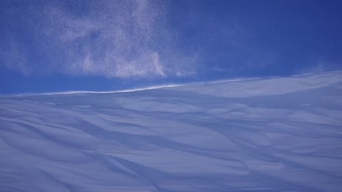 Ski Resort Fresh Snow Powder