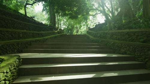 Treppe im Affenwald von Ubud, Bali, Indonesien