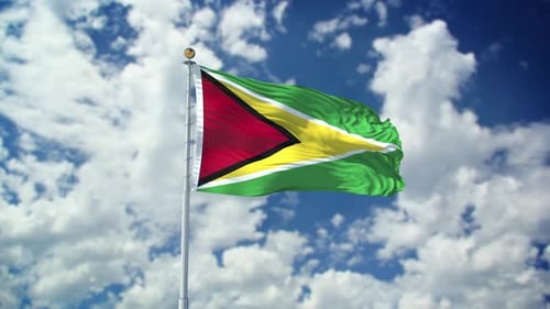 Guyana Realistic Waving 4k