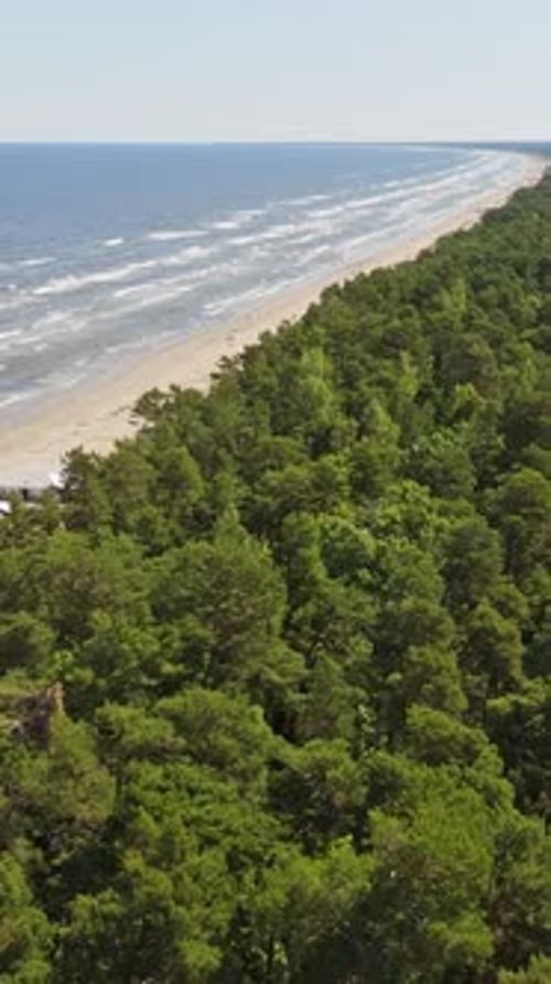 Vertical drone view of Baltic coastline and forest near Jurmala, Latvia