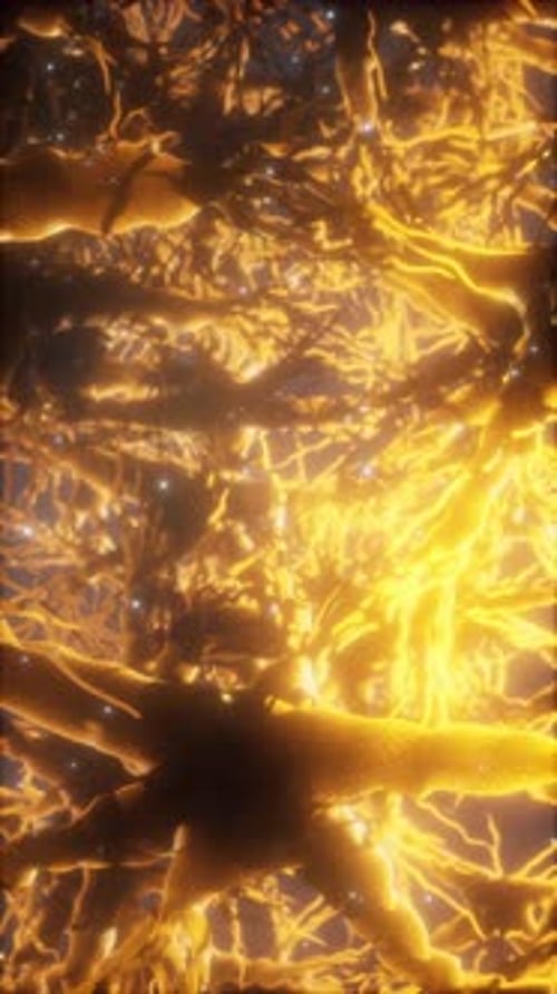 Journey Through a Neuron Cell Network Inside the Brain