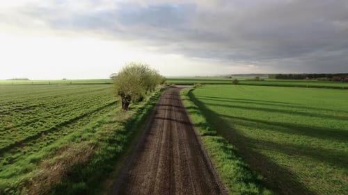 Drone view of dirt road, trees and green fields at sunset