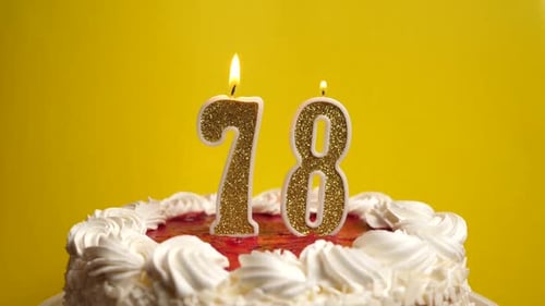 78. A candle in the form of the number 78, stuck in a holiday cake, is blown out. Celebrating a birt
