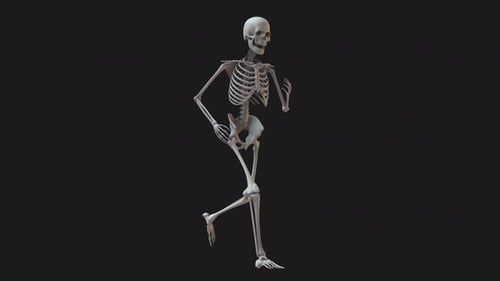 Skeleton Standard Run Loop 02