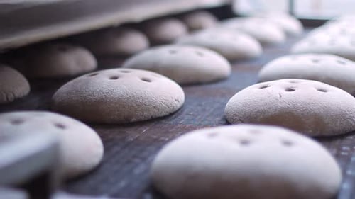 Automated Bread Production Line