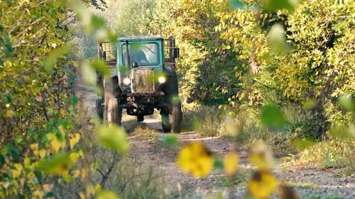 The old tractor is driving on a forest gravel road