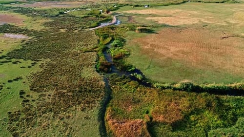 Aerial View of Reeds