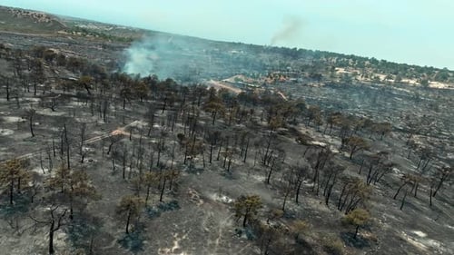 Aerial View of Forest Fire