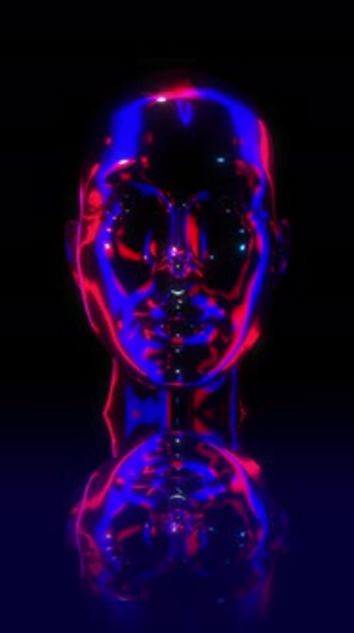 Glass Reflective Human Head