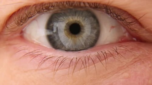 Blaue Augen eines Mannes, Nahaufnahme im Detail