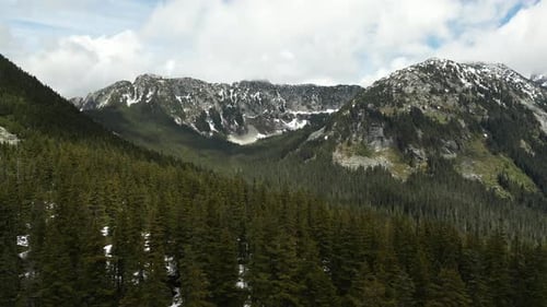 Scenic Mountain Forest Landscape. British Columbia, Canada.
