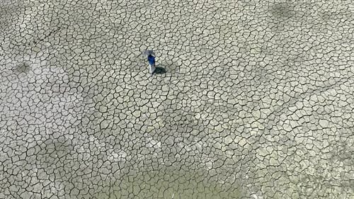 Aerial view of cracked earth, Bangladesh.
