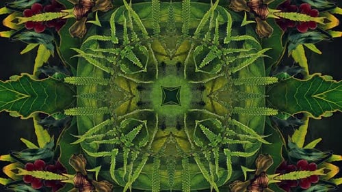 Dynamic Organic Kaleidoscope Nature Loop Background