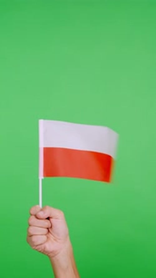 Arm Holds Waving Flag on Green Background