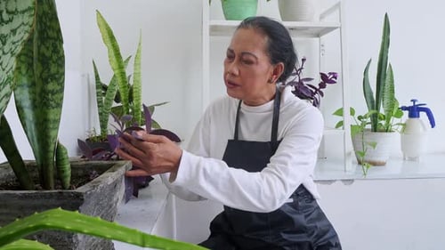 Middle-aged Asian Woman Sitting In The Garden At Home And Taking Care Of Houseplants
