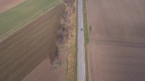 Cars On A Road Top View