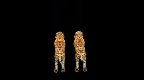 Two Tiger Run Idle
