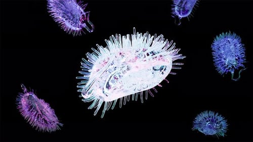 Glass Bacterium Germ Healthy Life Organism Able to Loop Endless